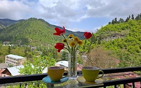 Borjomi Nest 1